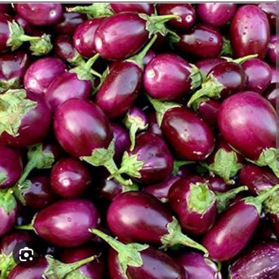 Small Brinjal/ छोटे बैंगन 500 g