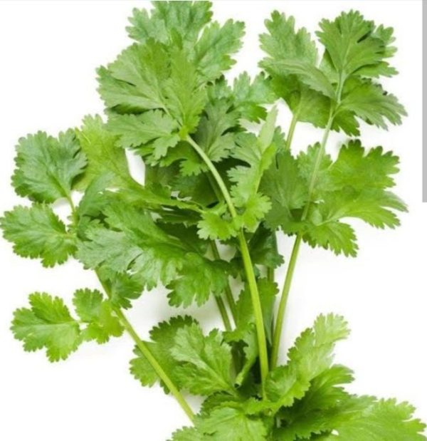 Coriander leaves/ हरी धनियां  250 g