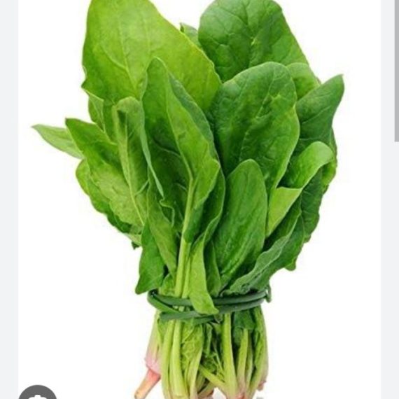 Spinach/ पालक 1 Kg